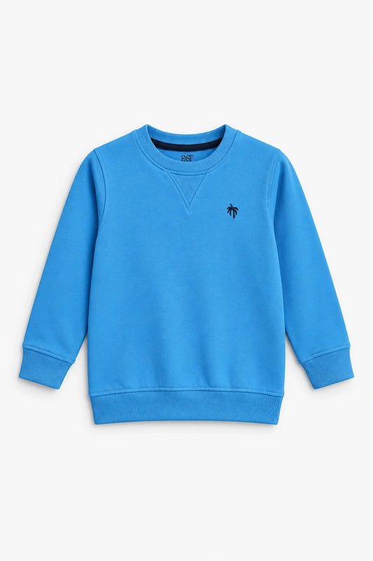 BASIC SWEATSHIRT