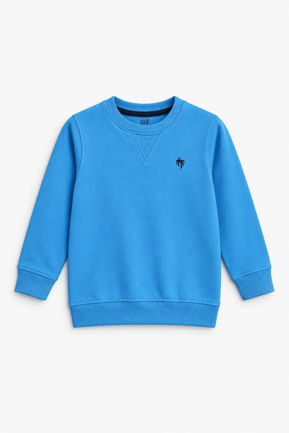 BASIC SWEATSHIRT