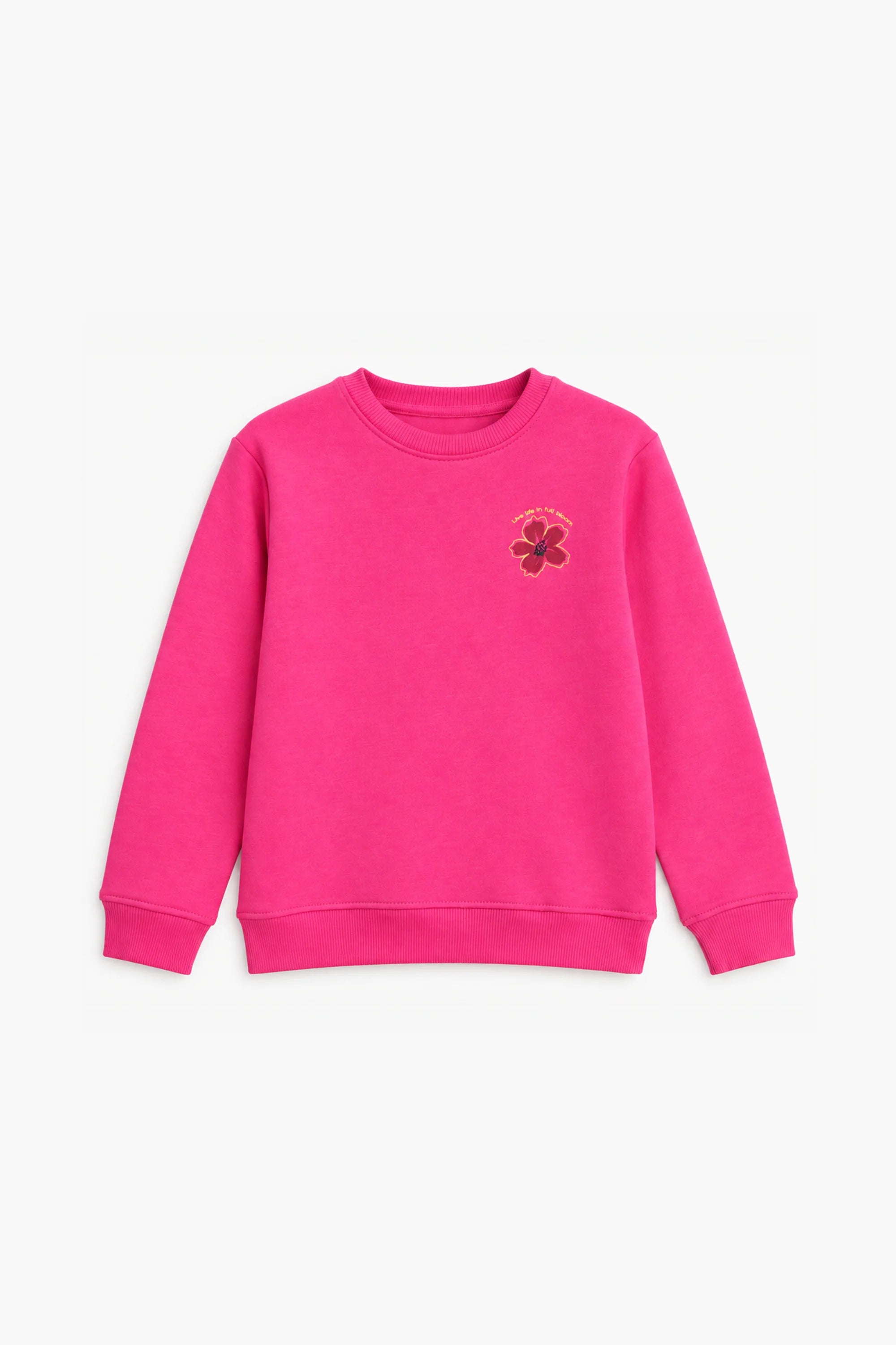 GRAPHIC FLEECE SWEATSHIRT