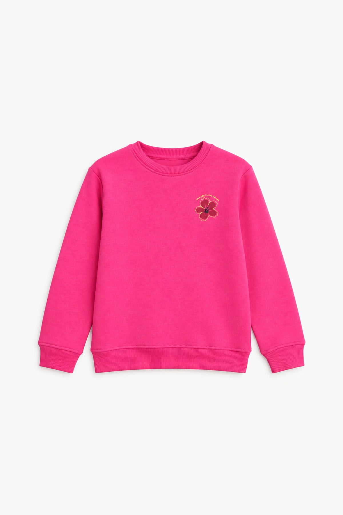 GRAPHIC FLEECE SWEATSHIRT