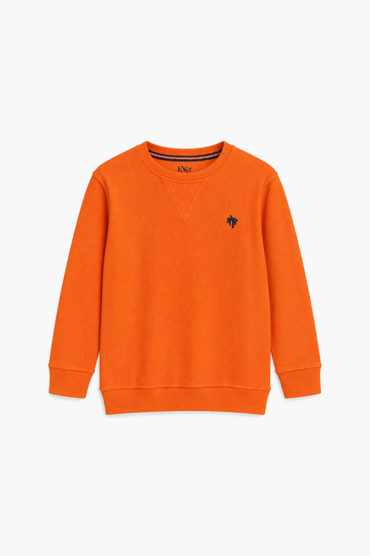 BASIC SWEATSHIRT