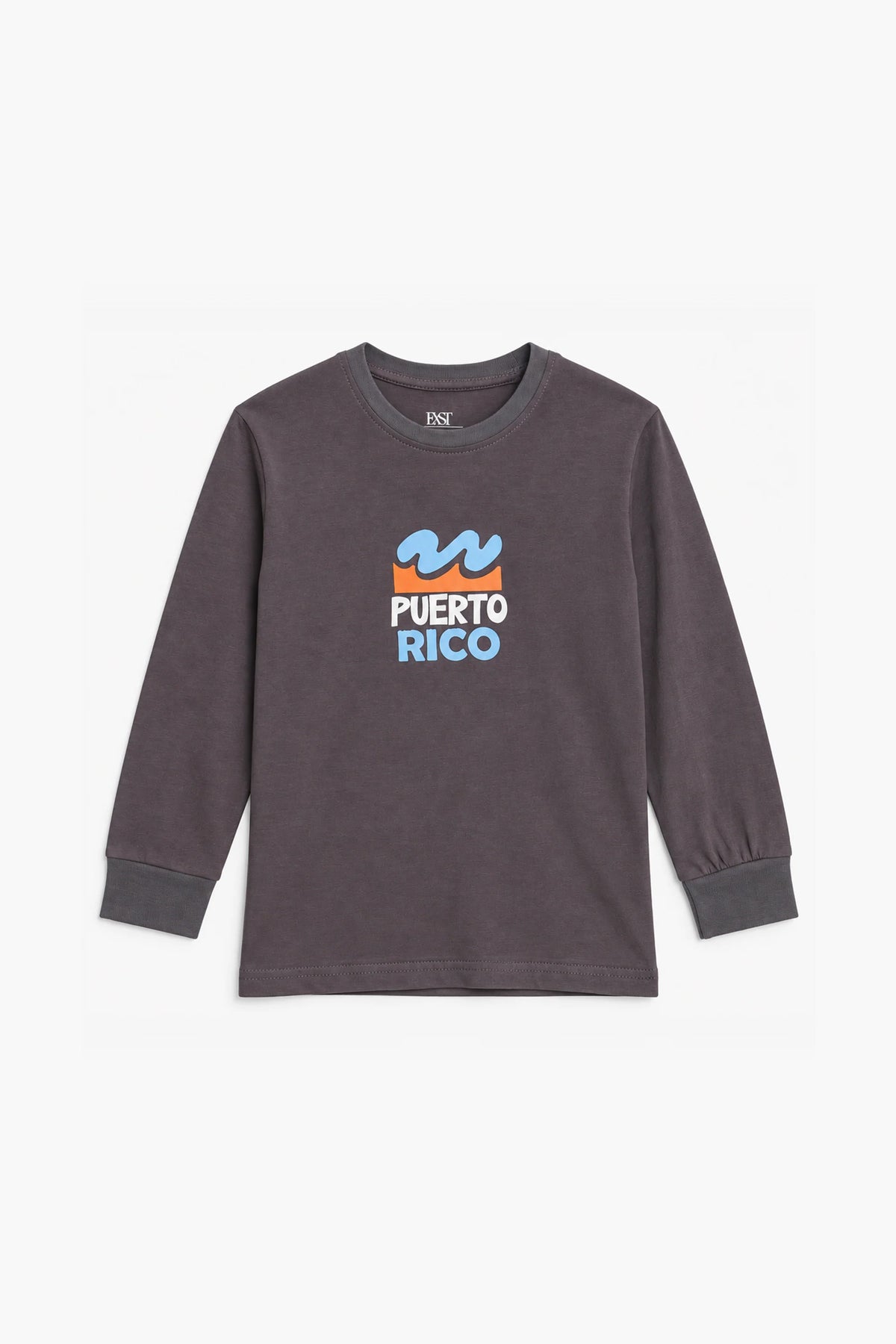 Graphic Jersey T-Shirt F/S