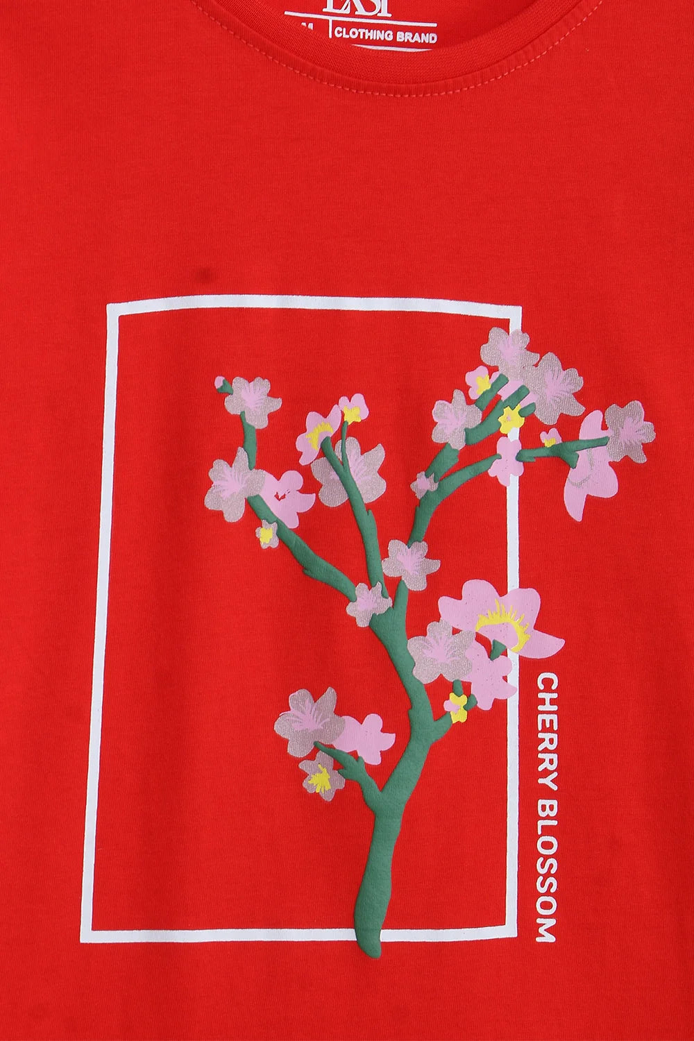 Graphic T-Shirt