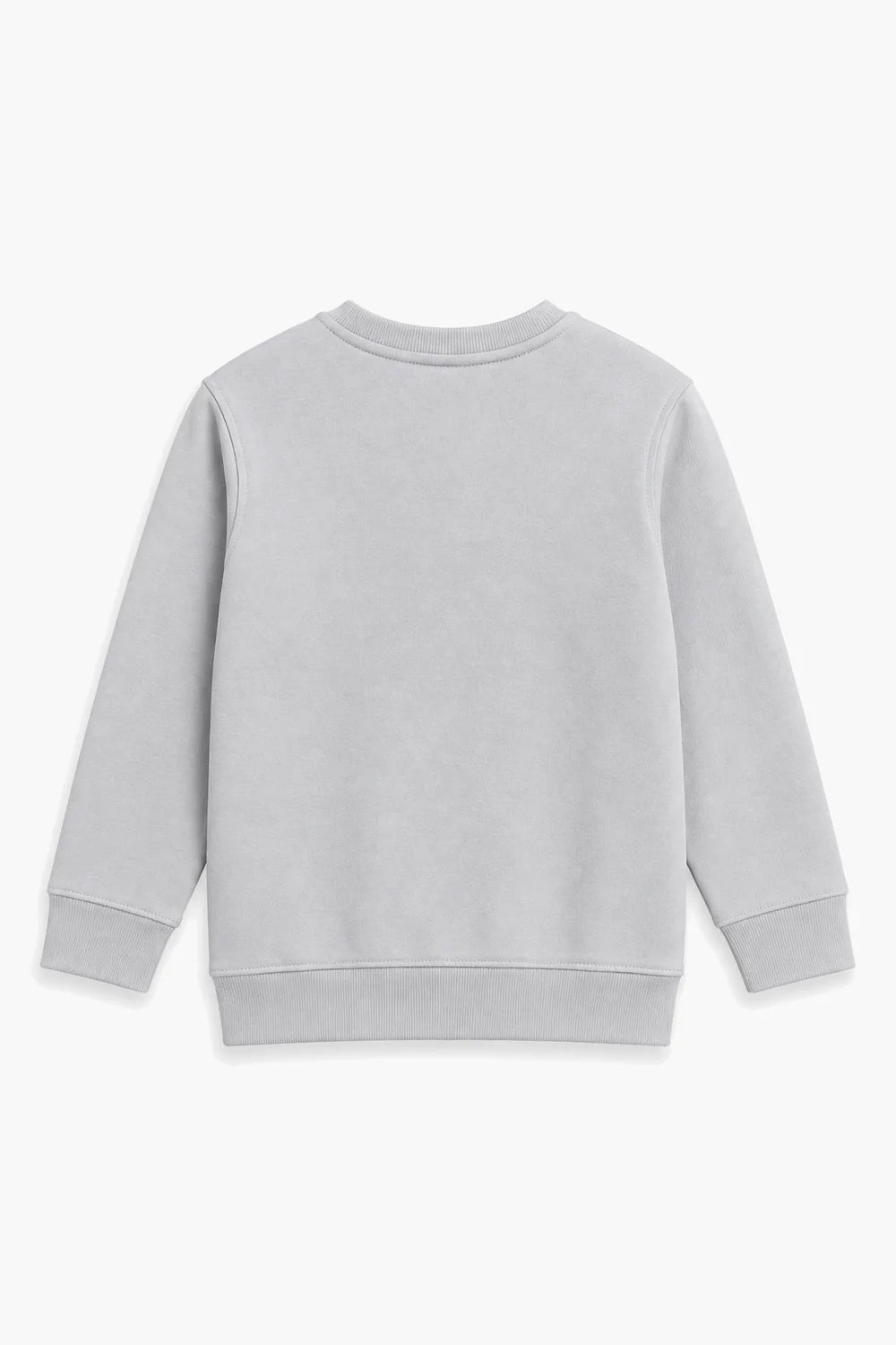 BASIC SWEATSHIRT