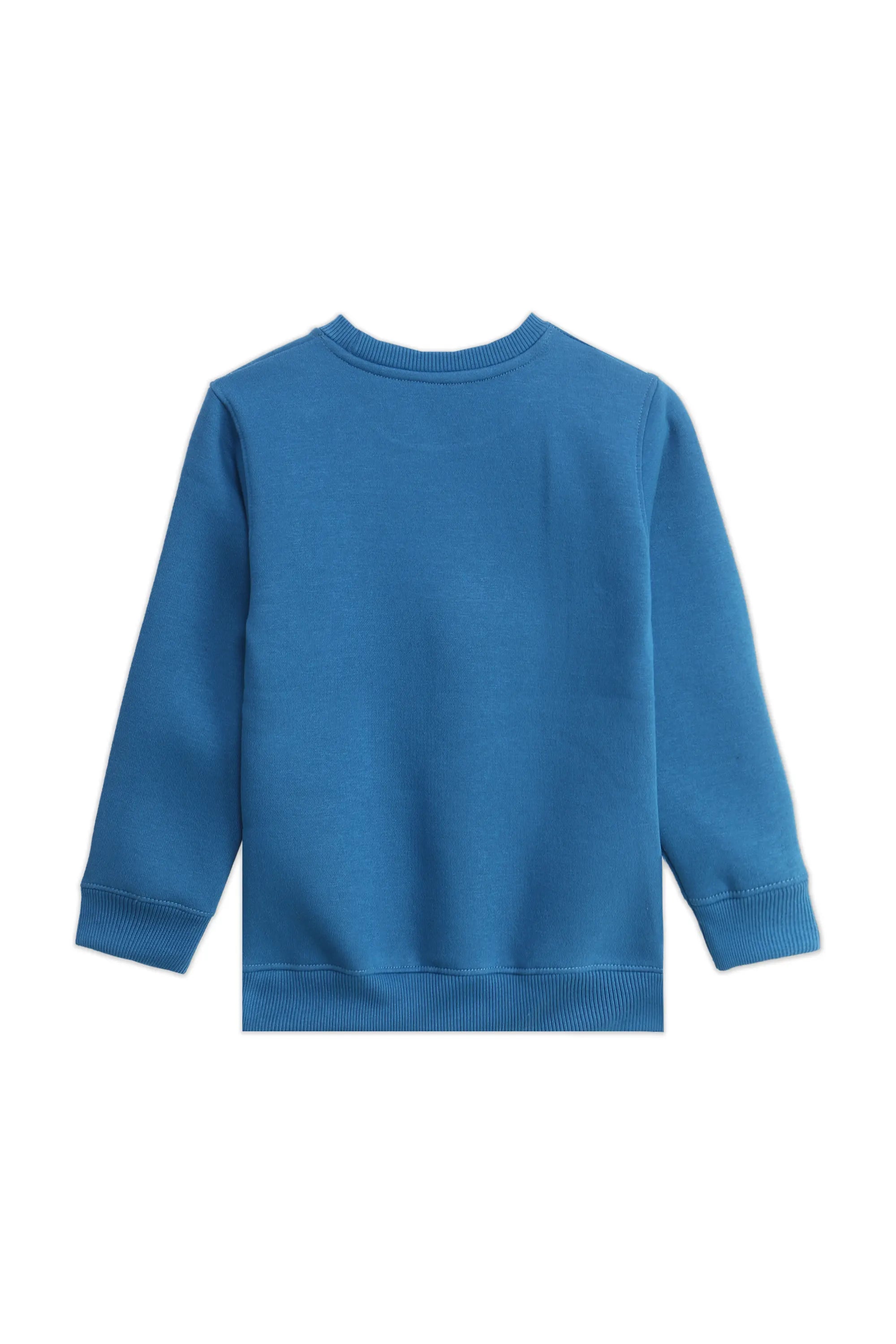 EMBROIDERED SWEATSHIRT