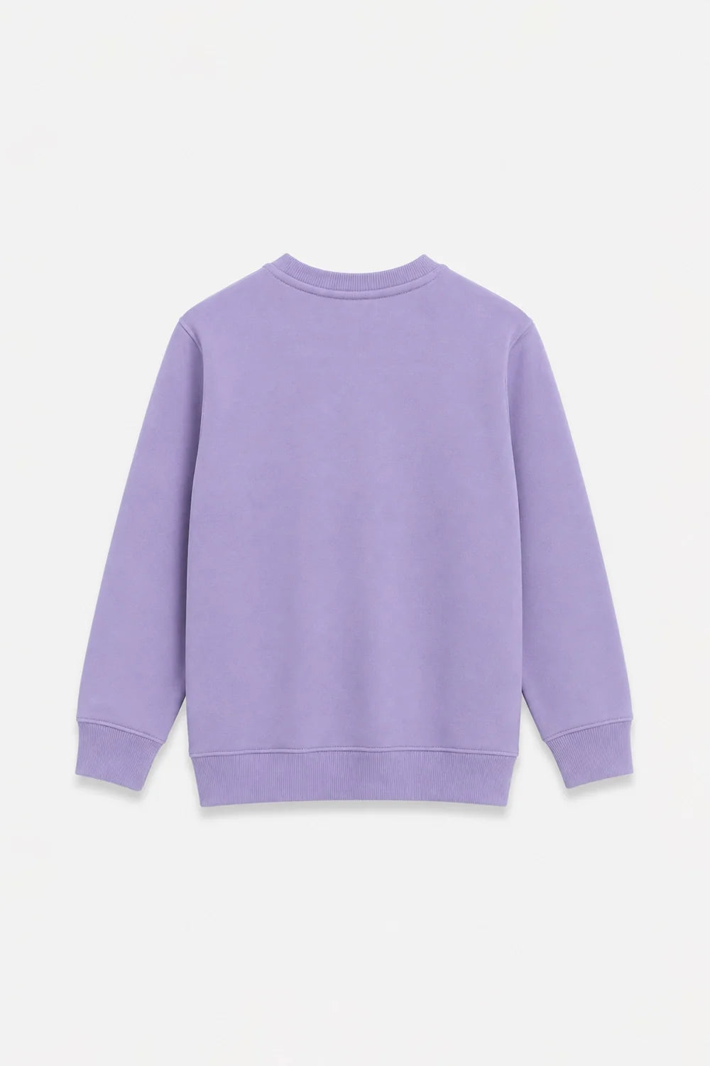 EMBROIDERED SWEATSHIRT