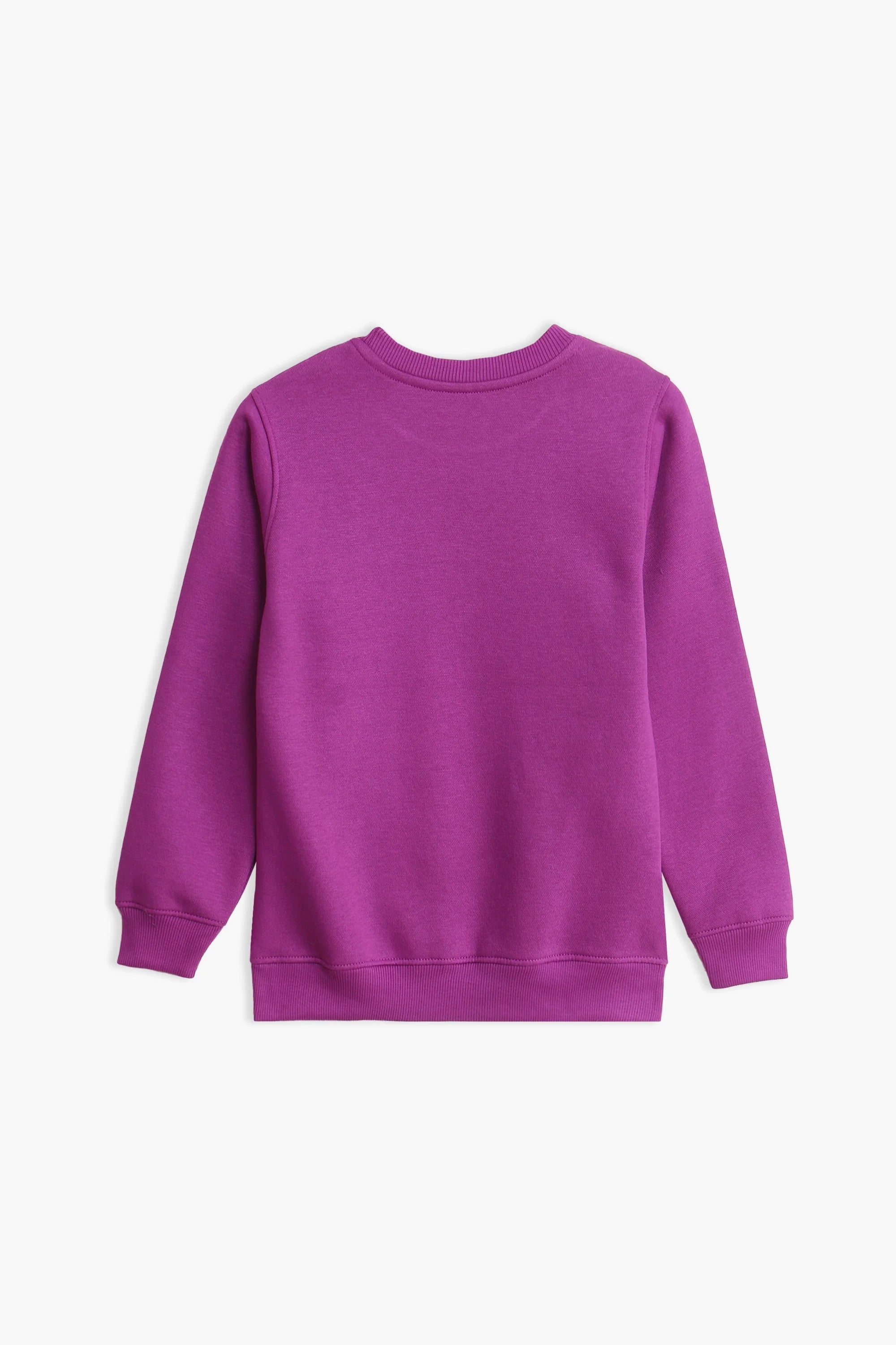 EMBROIDERED SWEATSHIRT