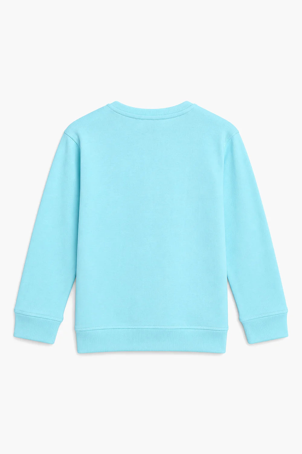 BASIC SWEATSHIRT