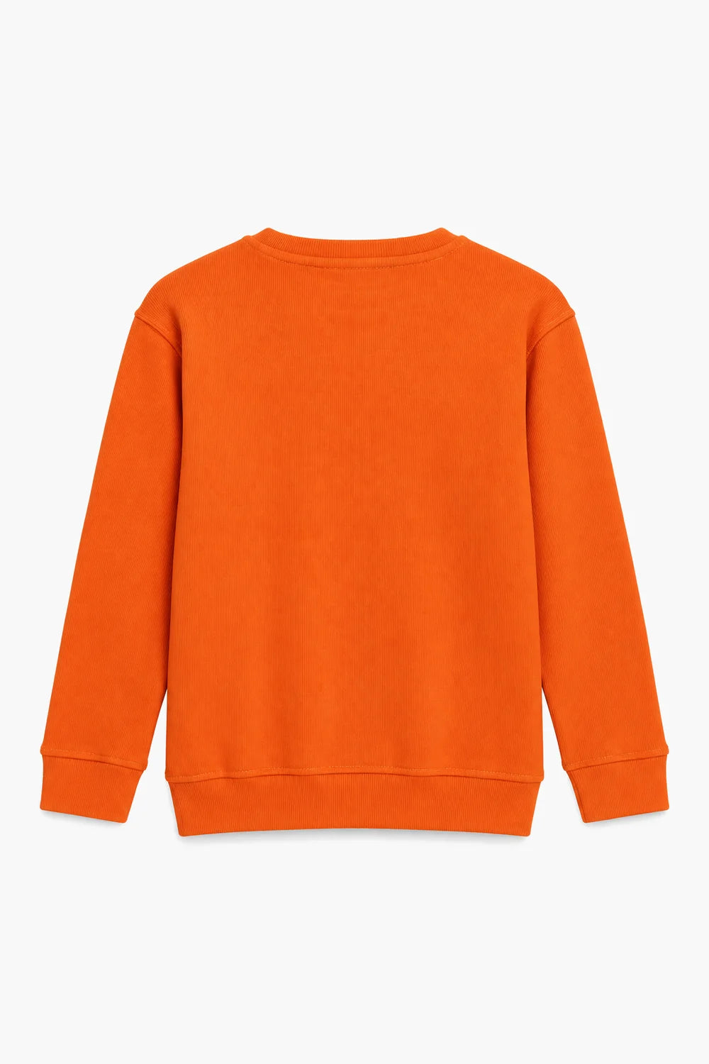 BASIC SWEATSHIRT